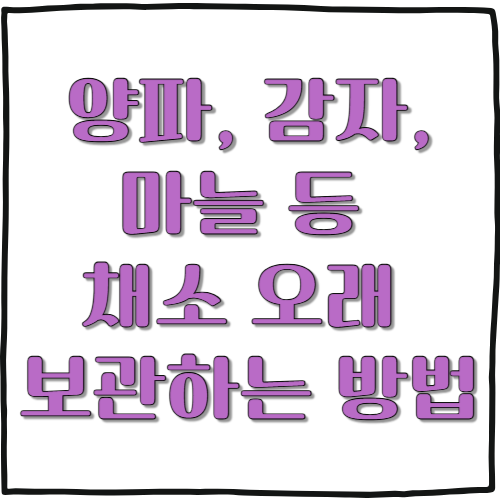 양파, 감자, 마늘 등 채소 오래 보관하는 방법
