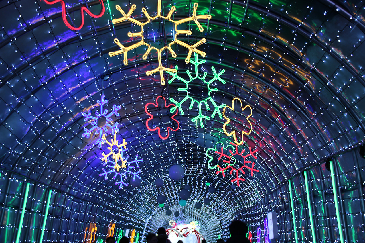 2026 대관령눈꽃축제 야경