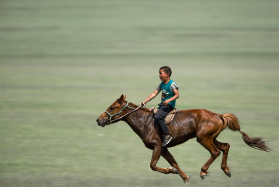 몽골 여행 승마 관련 이미지