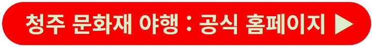 청주문화재야행