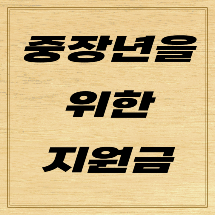 중장년을 위한 정부지원금