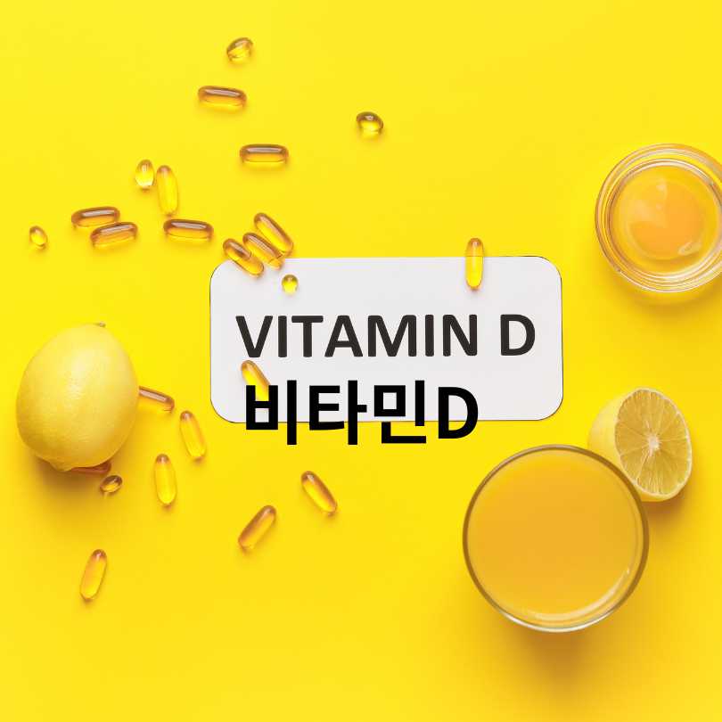 면역력 높이는 영양제 추천