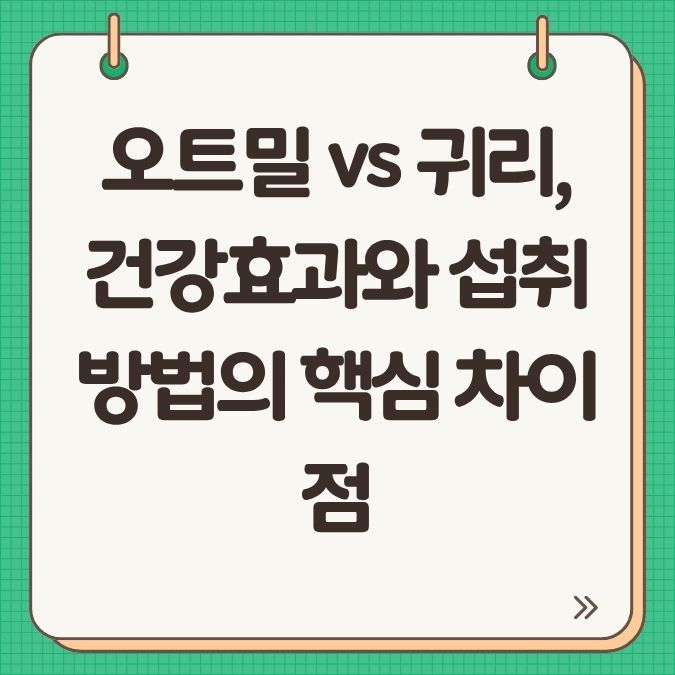 오트밀 vs 귀리, 건강효과와 섭취 방법의 핵심 차이점
