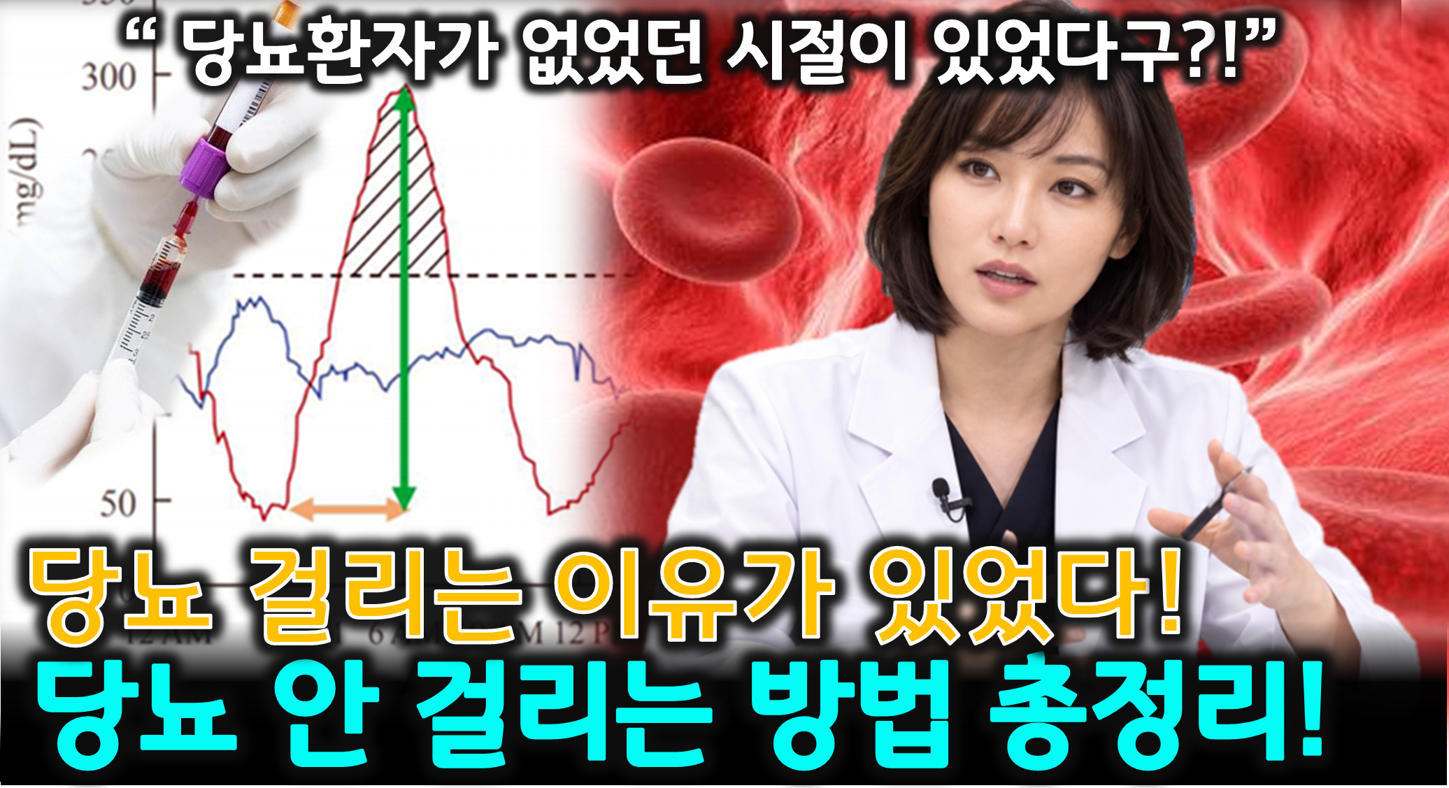 당뇨 원인과 관리 (인슐린 저항성, 혈당 관리, 메트포민)