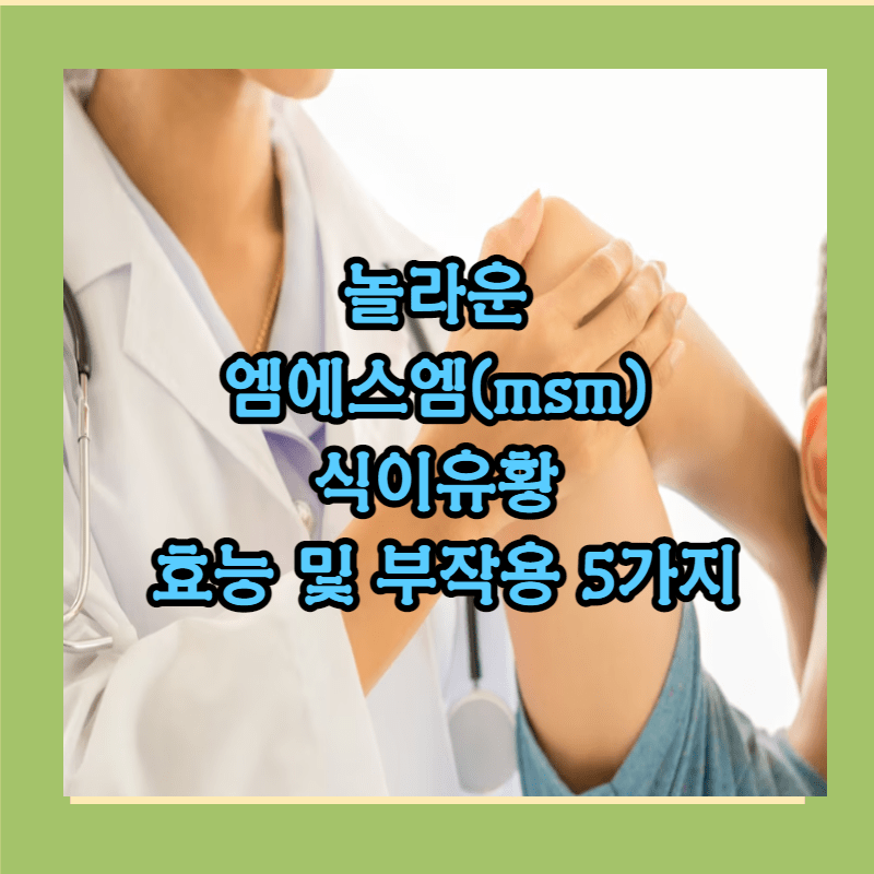 엠에스엠 효능