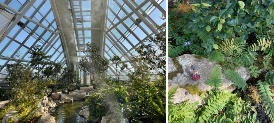 국립세종수목원 희귀식물 단독온실