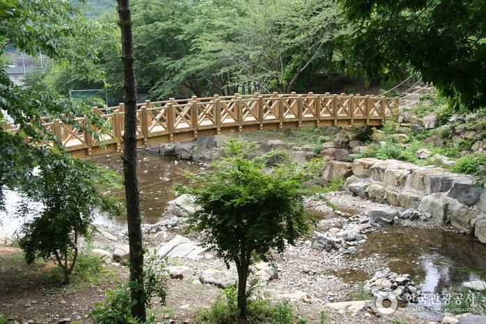 제암산자연휴양림