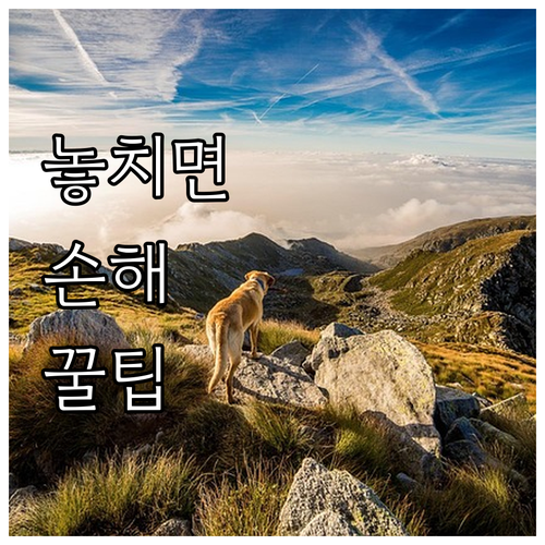 부산 동래구 2025 국가유공자 지원..