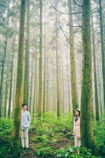 산림욕하기 좋은곳