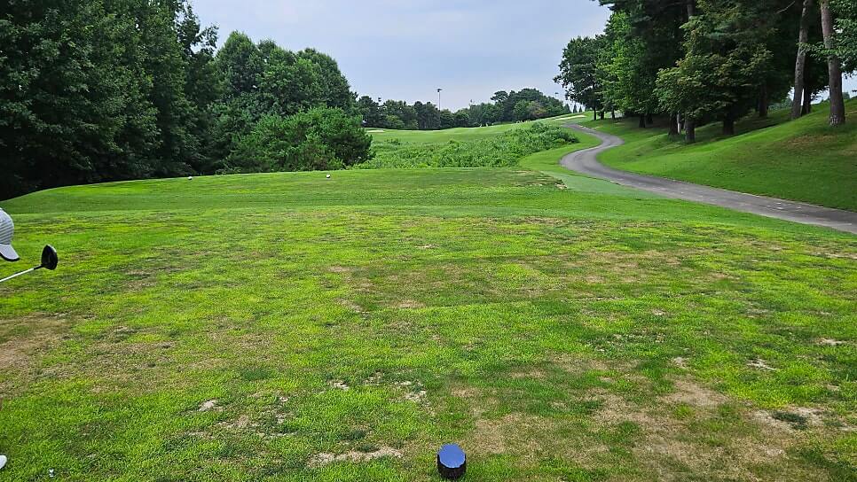 골프장 경험담 이천 더반cc 가성비 좋은 퍼블릭 + 연습 라운드 또는 입문자 연습장 느낌으로 활용 가능