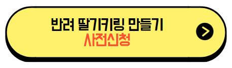 서울스트로베리페스타_반려딸기키링만들기_사전신청