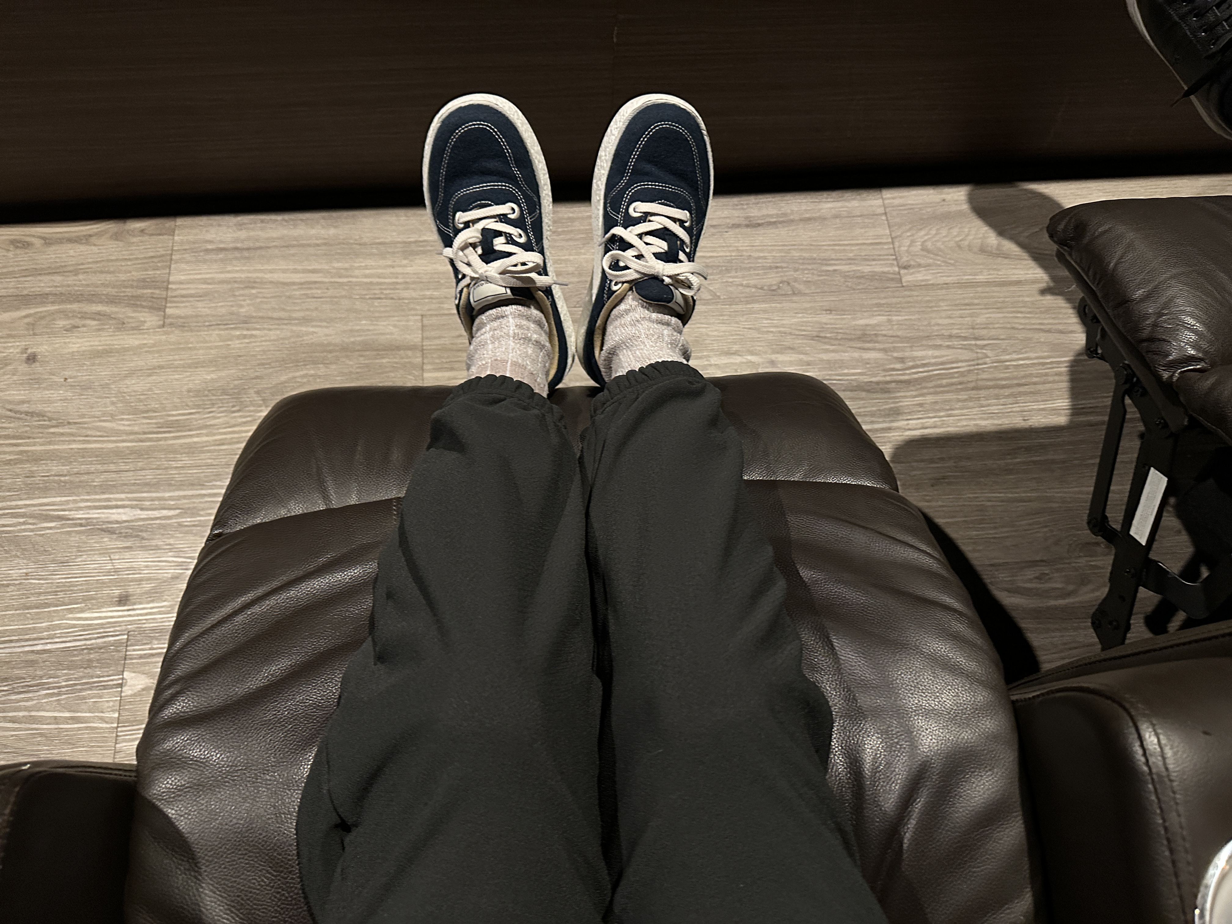 오랜만에 극장갔다가 전좌석 리클라이너에 놀라버린 집사들