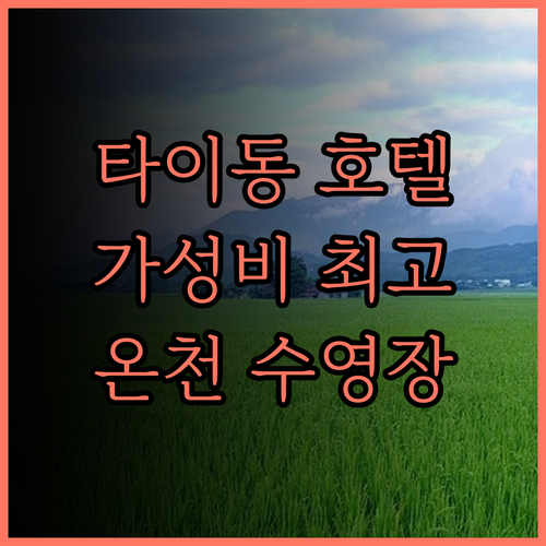 가성비 최고 타이동 호텔 추천 For