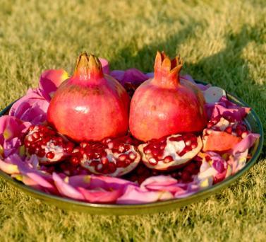 고흥석류파칸농장