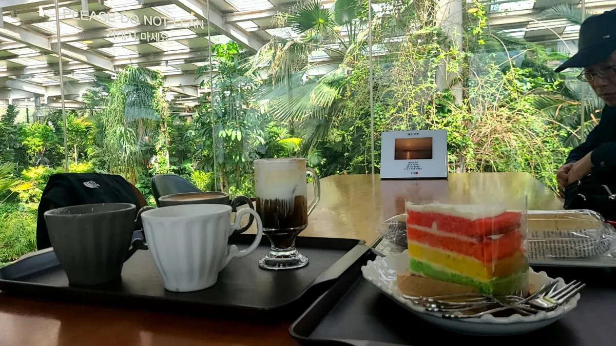 테이블위에-커피와-케이크-뒤로보이는-나무와푸른식물들