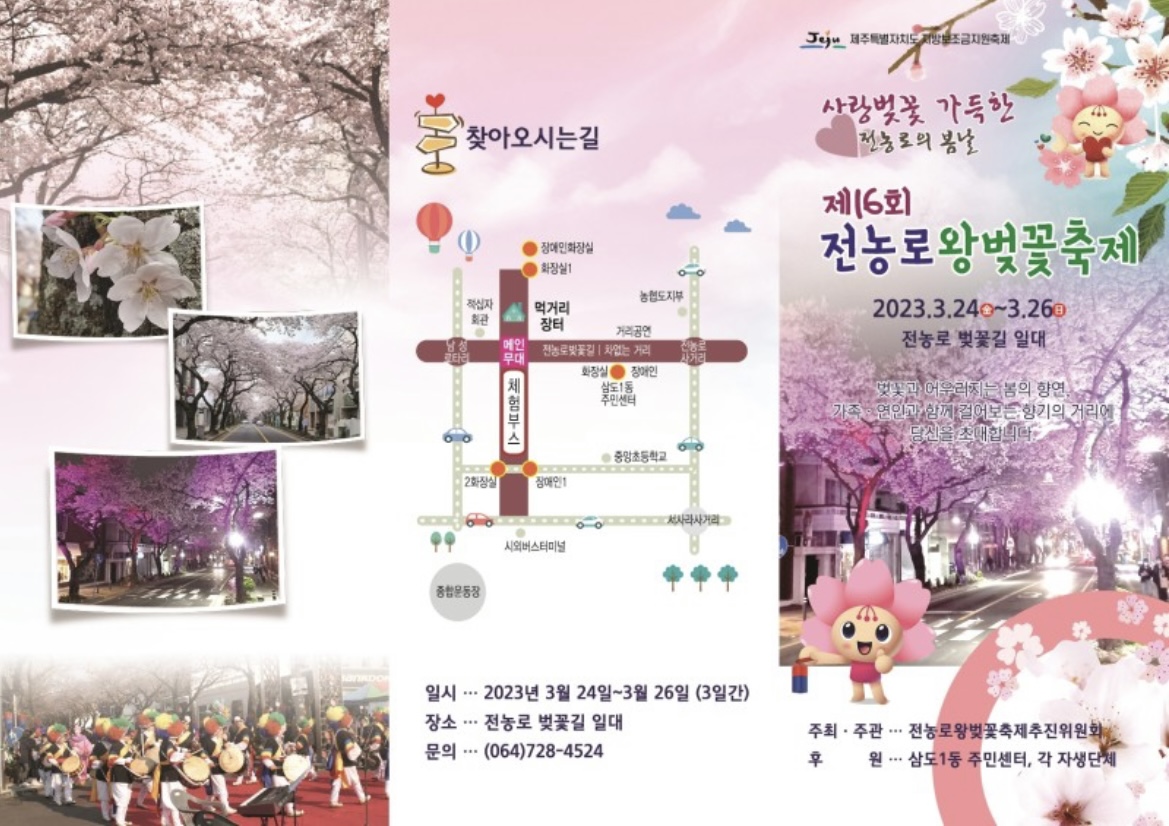 제주_벚꽃_축제