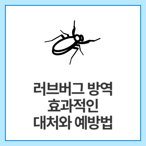 러브버그-방역-효과적인-대처와-예방법
