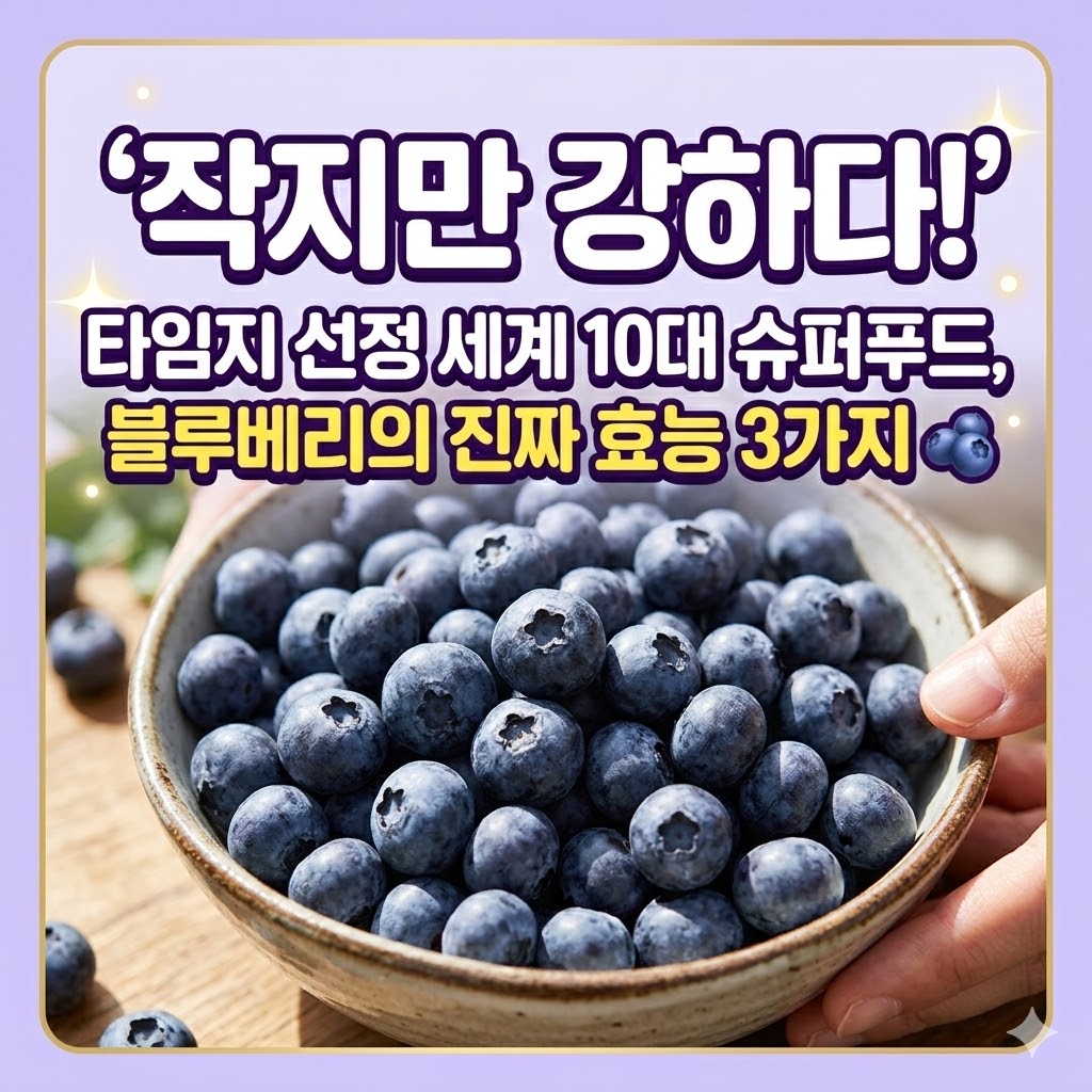 블루베리가 슈퍼푸드인 진짜 이유