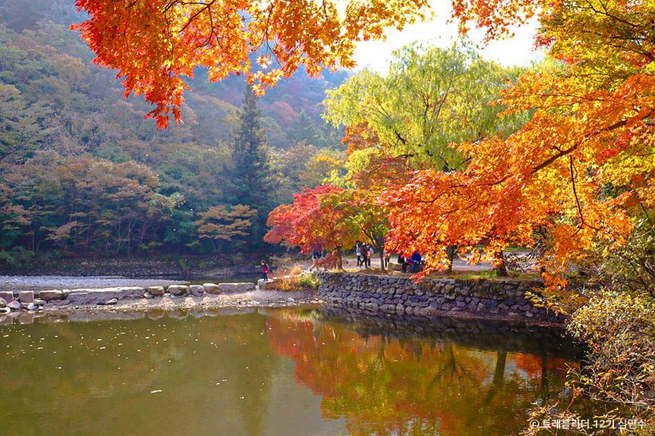 전국 단풍명소, 절정시기