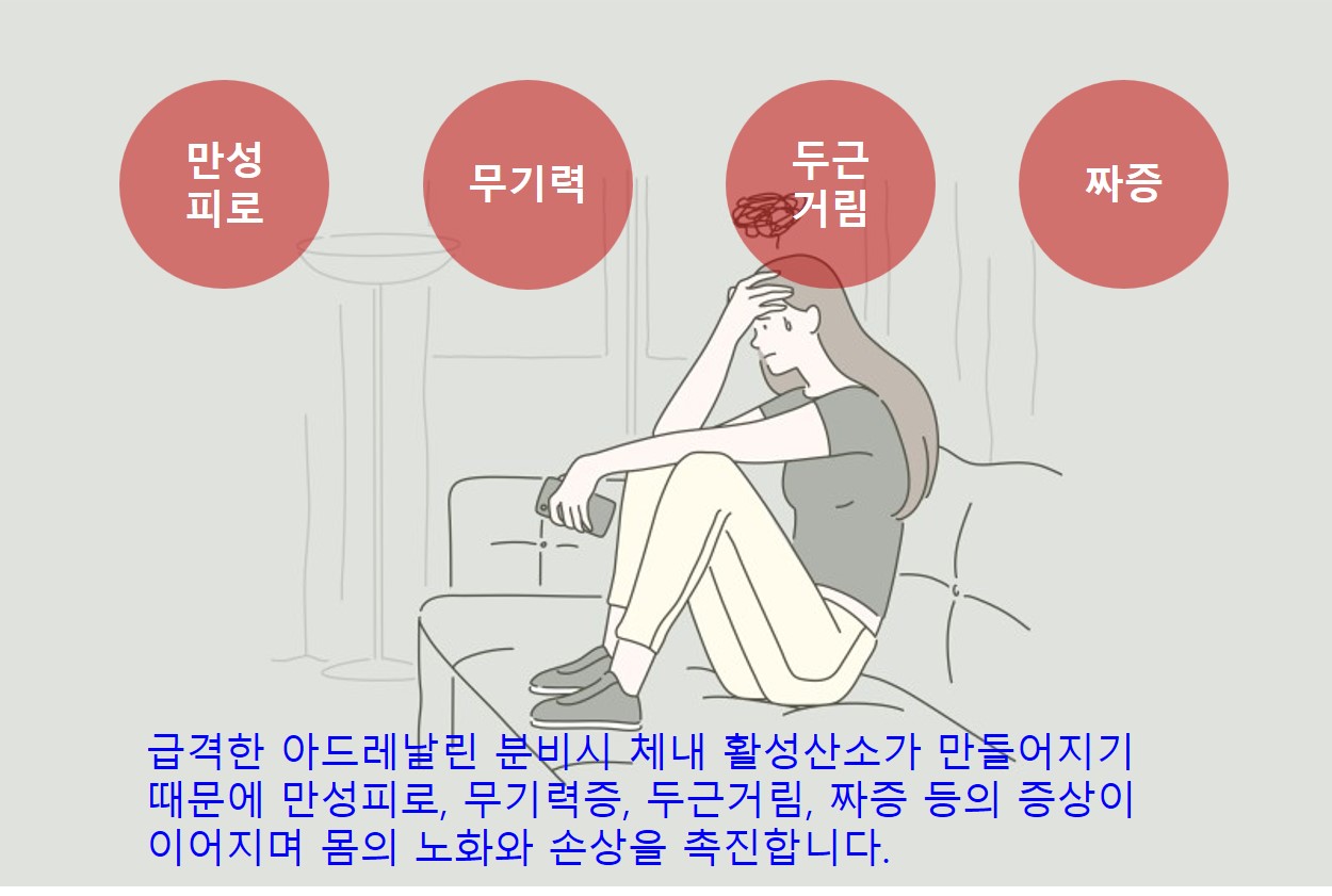 혈관건강