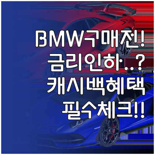 BMW 구매 전 필수 체크리스트 금리..