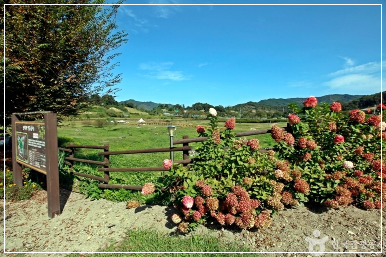 진안 가볼만한곳 베스트10 신지천 생태습지