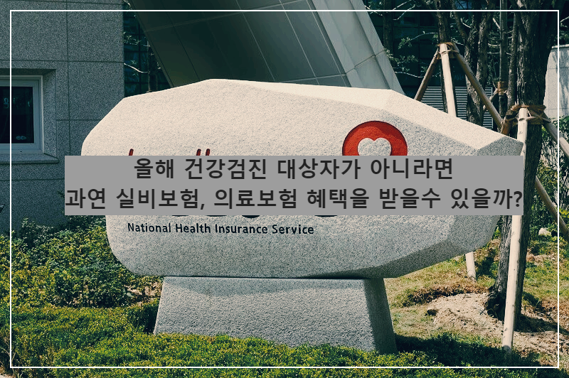 건강보험공단 건강검진대상자 의료보험 실비보험 혜택