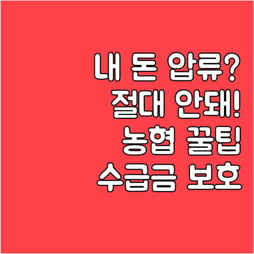 농협 행복지킴이통장 개설 방법과 압류..