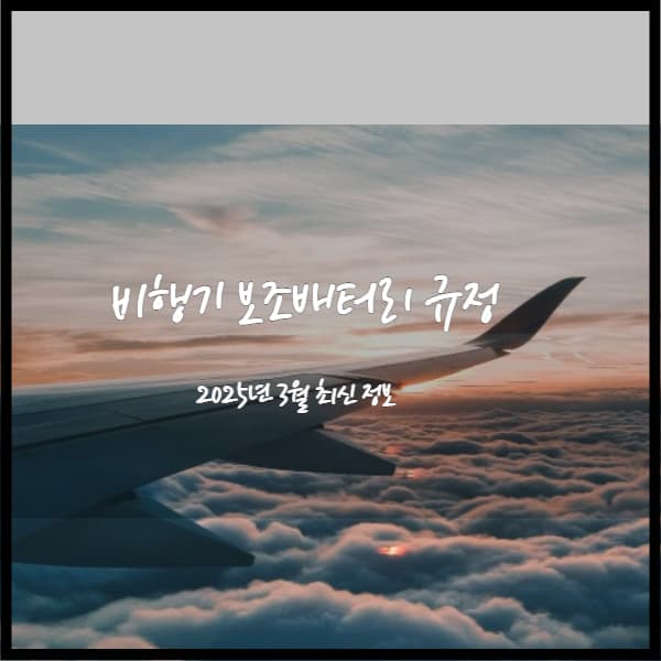 비행기-보조배터리-규정