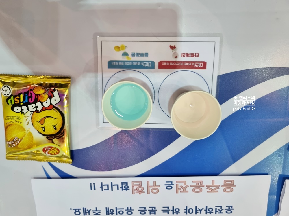 2022 부산브랜드페스타 관람후기