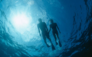 나트랑 스노클링 