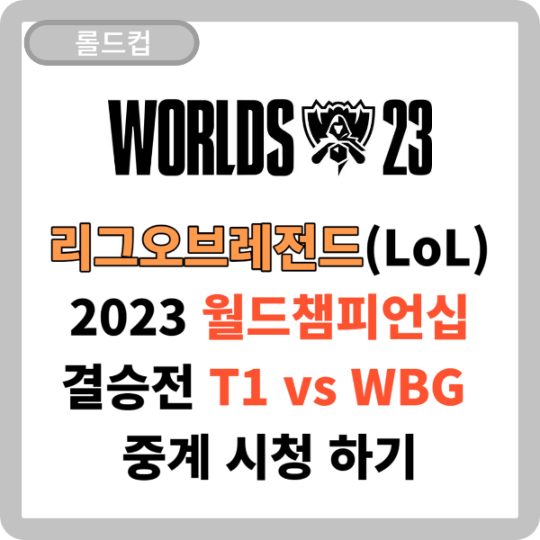 롤드컵 결승전