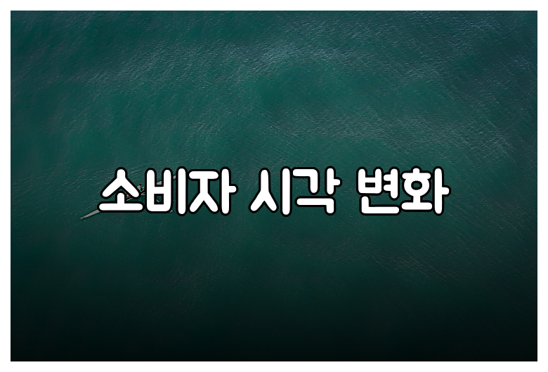 소비자 시각 변화
