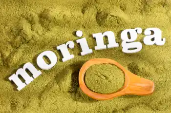 모링가 효능 및 영양성분, 주의점