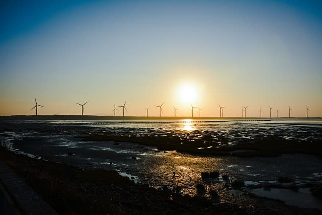 빈집에서 자라는 채소들: 텃밭과 융합한 그린하우스