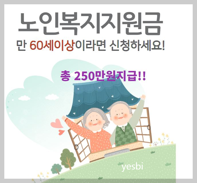 노인복지지원금