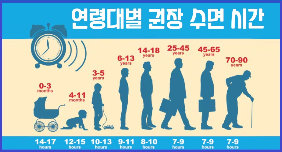연령대별 권장 수면 시간