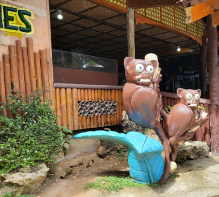 필리핀 보홀 자유여행 필수 투어 코스 액티비티 여행