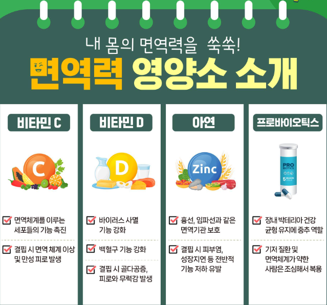 면역력 강화