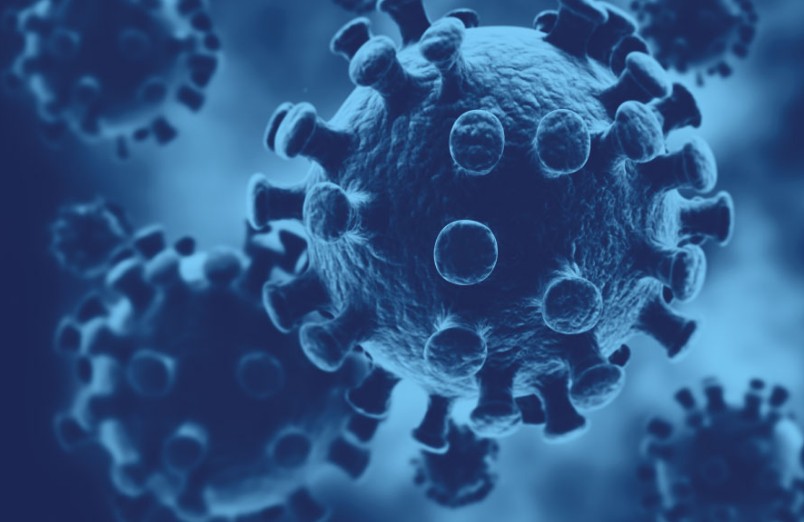 VBI ๋ฐฑ์ (VBIV), ๊ตฌ์กฐ์กฐ์ ์ ์ฐจ ์
๋ฐ์ดํธ ์ ๊ณต ์์ฅํ์ง ์ผ์ 