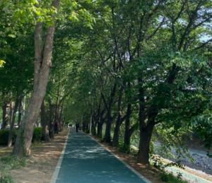 도심속휴식공원