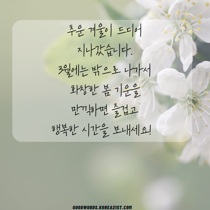 3월 인사말 문구 이미지 모음집