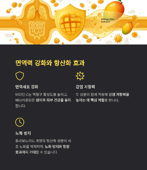 망고, 달콤함 속에 숨겨진 건강의 이점과 주의사항