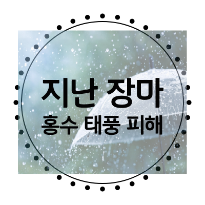 2000년대-피해사례