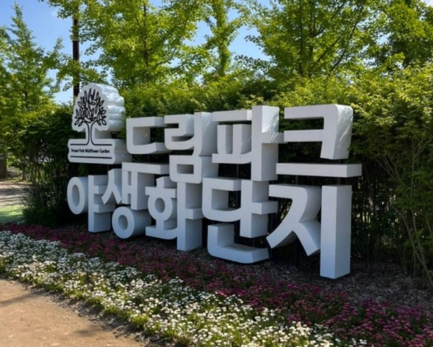 인천-드림파크-벚꽃축제-01