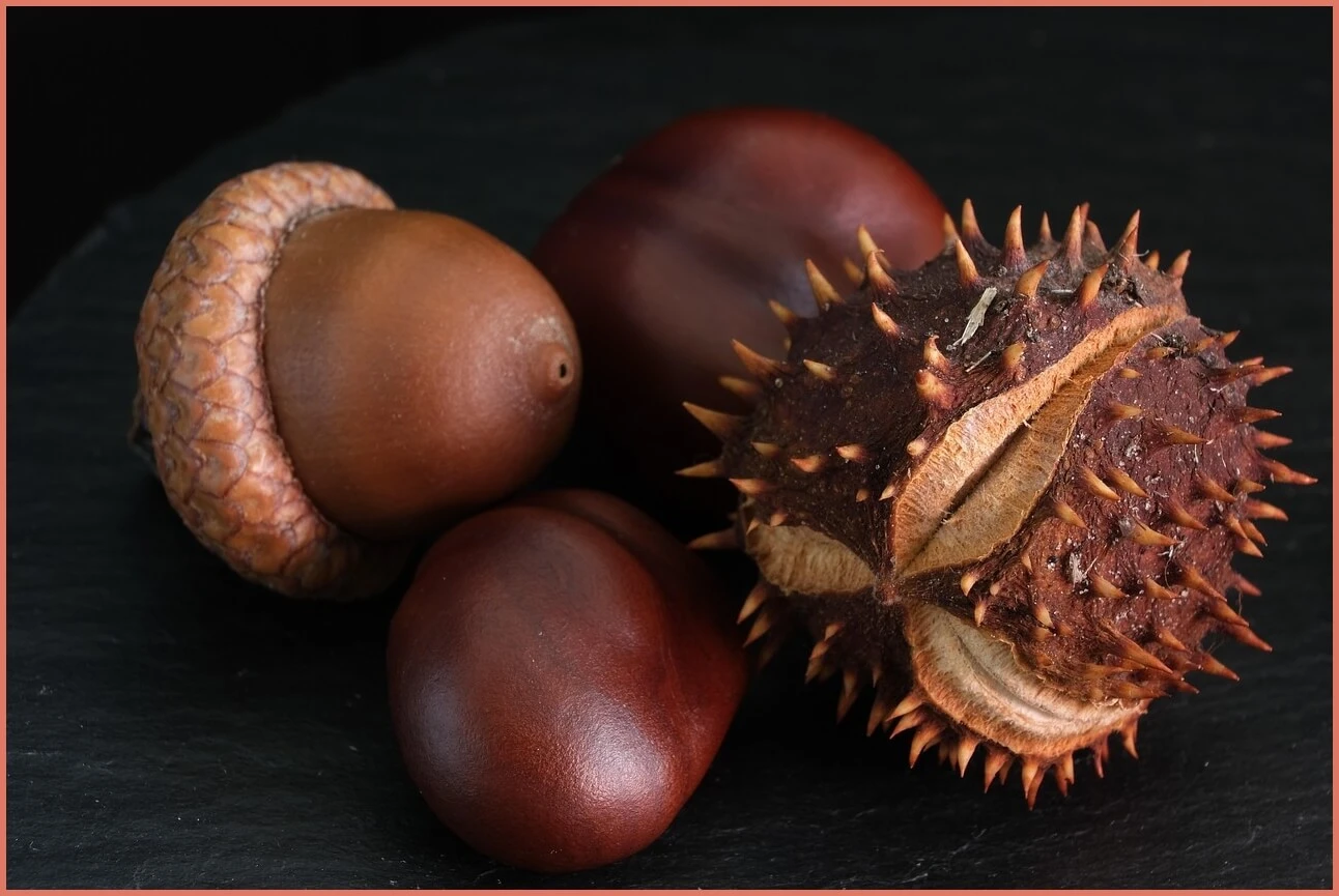 새마을금고 예금금리