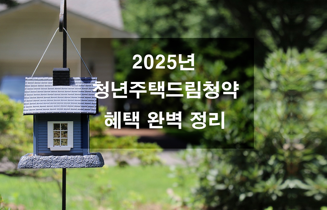 청년주택드림청약 혜택 완벽 정리