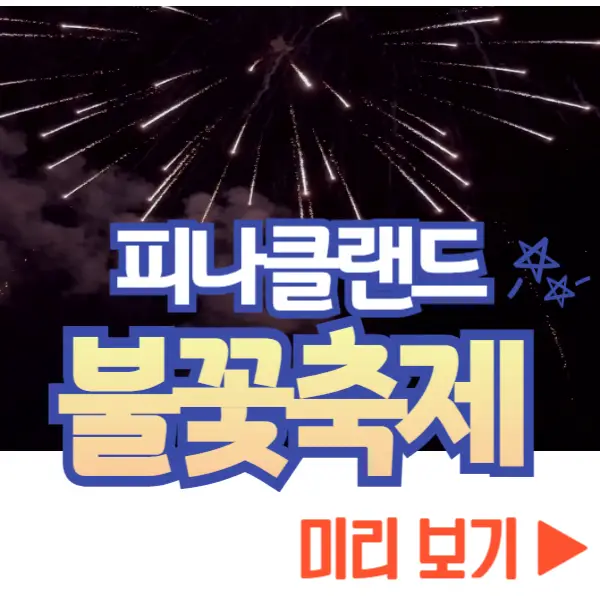 피나클랜드 불꽃축제 미리 보기