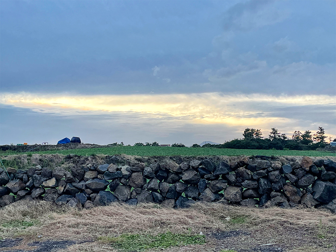 제주 돌담 제주 밭 저녁 노을 풍경 무료이미지