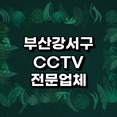 부산 강서구 cctv